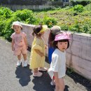 일상-제주어 동화듣기(짖어라 멍멍아)~ 이미지
