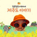 신화메디 | 여행) 3개월 아기랑 제주도 여행 2박 3일 후기✈️｜비행기 첫 탑승·신화월드 1탄🩵