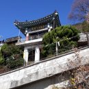 영신아구찜 Daum카페