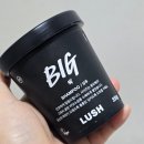 지성두피 인간이 써본 러쉬 샴푸 : 비추와 추천