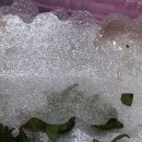 은기농장 이미지