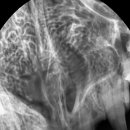 아쿠아 종합동물병원 이미지