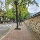 가을코스2 이미지