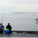 세월낚기 이미지