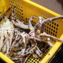 (주)유통킹 이미지