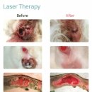 나온동물병원 이미지