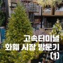[크리스마스 준비 1] 강남 고속버스터미널 화훼상가(생화 시장, 조화 시장) 영업시간 및 atm 위치, 트리...