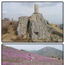 만어산장 산악회 제399차 경북 현풍 비슬산 산행안내 4월20일(목요일) 이미지