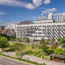 영어초급 야간 이미지