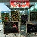 가족머리깎기 이미지