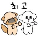 남애리458스테이 이미지