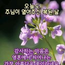 [컬럼] 하나님 한 분만으로 행복한 인생 이미지