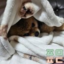 누리봄동물병원 이미지