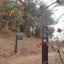 인천광역시 강화군 강화도로 떠나볼까요? 강화나들길 11코스 석모도바람길( 약 16Km, 시간: 약 5시간), 산책로ㆍ어류정항 이미지