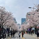 서울병원 개방화장실 이미지