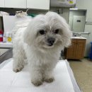 청학파출소 이미지