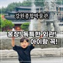 한국장애인문화강원특별자치도협회 태백시지부 | 아이랑 삼척 실내 가볼만한곳 여기! 강원종합박물관 종교 전시부터 식당까지
