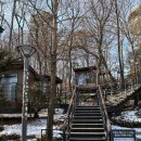 광교푸른숲도서관 이미지