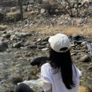 더불어사는터 이미지