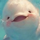 K-POP 키즈댄스 이미지