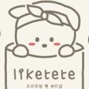라이크테테 이미지