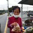 풍세면행정복지센터 이미지