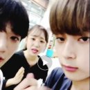 악동강아지 이미지