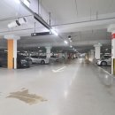 우미정문공인중개사사무소 이미지