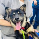 리버풀동물병원 이미지