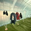 교하체육공원 | 겨울 러닝 파주스타디움 비닐하우스 트랙 이용 팁 정리