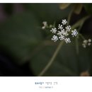 장성JC - 1183 | 장성JC
