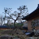 행복충전펜션 이미지