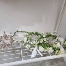 마노사진관