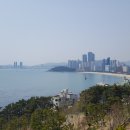 달맞이길 이미지