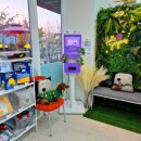 퍼피인더바스 이미지