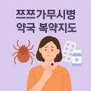 초지약국 티스토리