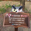 꽃보라동산 이미지