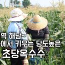 황토상회 이미지