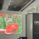 걷고, 대화하고, 나를 본 GR Walk&amp;Talk 행사 후기