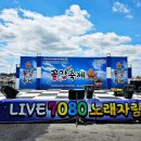 해송모텔 | 장항항 수산물 꼴갑축제 완전 정복 / 완벽 가이드: 갑오징어·꼴뚜기 맨손잡기 · 수산물 경매 · 금강...