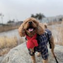 어룡세천 이미지