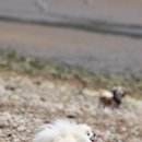 서가네 펜션 | 개리비안베이펜션 여행기:)_1탄