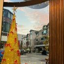 다올 그루밍 이미지