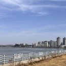 군산앞바다 | [군산] 바다 앞 오토캠핑장, 군산 버드오토캠핑장 여자 혼자 차박 후기 (내돈내산)