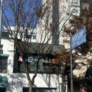 위드팜신촌약국 이미지