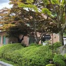 신촌교 밑 이미지