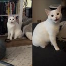 함께사는세상(주) 이미지