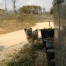 승준농장 이미지