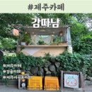 월산로 | 제주도 서귀포 감귤 천지 카페🍊 &#34;감따남&#34; 다녀온 후기(주차정보)
