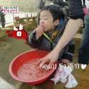 서준농장 이미지